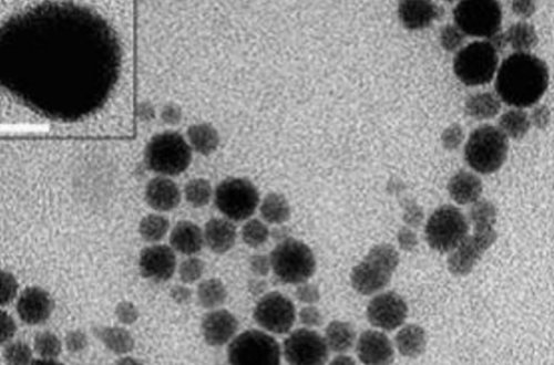 Alimlər melanomanın müalicəsi üçün gümüş plastr yaradıblar