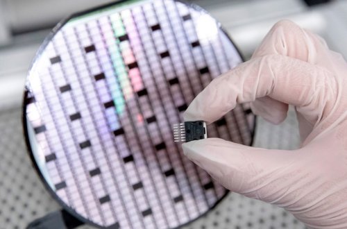 Alimlər immuniteti öyrənmək və dərman hazırlamaq üçün 