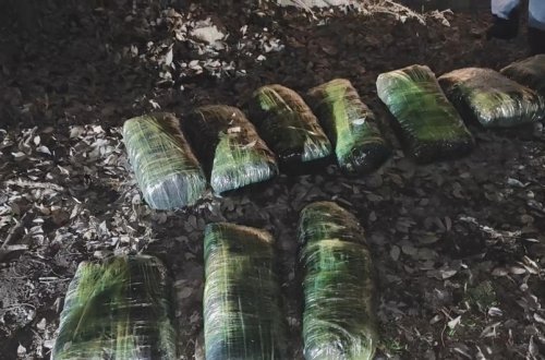 Balakəndə əməliyyat keçirilib, qeyri-leqal yollarla ölkəyə gətirilən 33 kiloqram narkotik aşkarlanıb