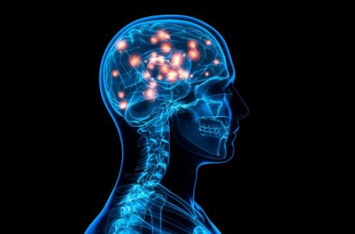 İnsan beynində yığılan plastik komponentlərin artması müşahidə edilib