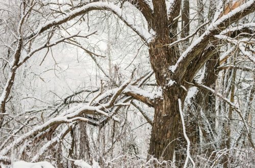 Sabah bəzi rayonlara qar yağacaq, yolları buz bağlayacaq