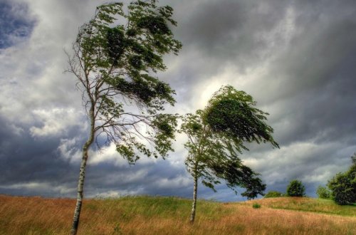 Yağıntılı və küləkli hava müşahidə olunur, Lerikdə 50 sm qar yağıb - FAKTİKİ HAVA