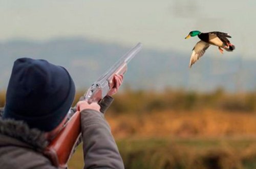 Qırmızıkənd ovçuluq təsərrüfatının ərazisində qanunsuz ova cəhd edən şəxs saxlanılıb