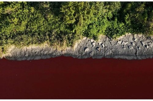 Kanalın rəngi qırmızı oldu: Mütəxəssislər bunun səbəbini tapa bilməyiblər