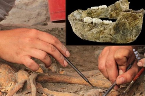 İnsanın naməlum yeni qohumu: 1,4 milyon illik çənə sümüyü