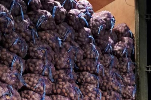 İrandan Azərbaycana gətirilən 47 tondan çox kartof yararsız çıxıb