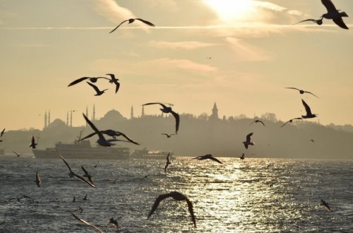 Bosfor boğazında gəmilərin keçidi müvəqqəti dayandırılıb