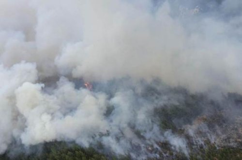 Pataqoniya bölgəsində meşə yanğınlarında 37 min hektar ərazi məhv olub