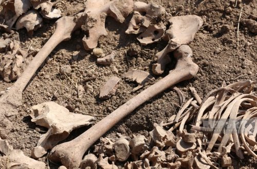 Ağdamın Xıdırlı kəndində insan sümüklərinin qalıqları aşkarlanıb