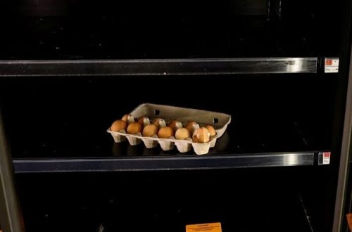 ABŞ-da böhran böyüyür: Rəflərdə yumurta qalmayıb, insanlar toyuq yetişdirir