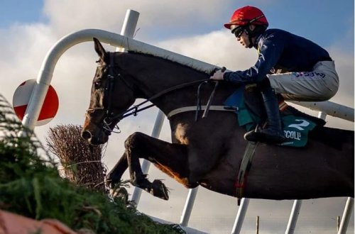 İrlandiyalı jokey yarış zamanı yıxılaraq ölüb