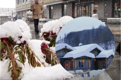 Kurort kəndində saxta qar qalmaqalı: Mənim zəkamı təhqir etdilər 