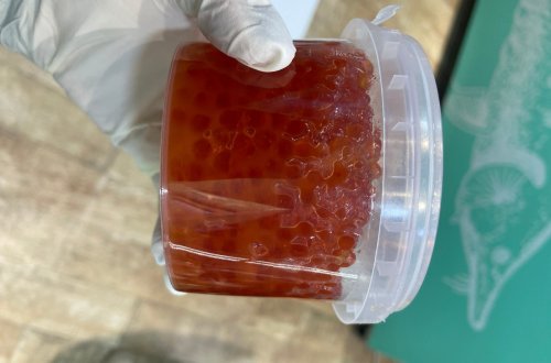 Bakıda mağazada mənşəyi məlum olmayan qida məhsulları aşkarlandı - FOTO