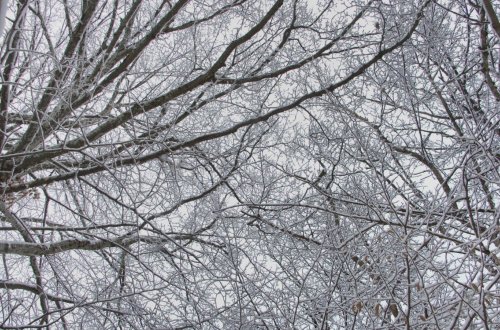 Sabah da qar yağacaq