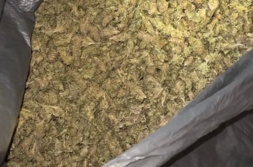 Lerikdə narkokuryerlikdə şübhəli bilinən şəxs saxlanılıb, ondan 10 kiloqram marixuana aşkarlanıb