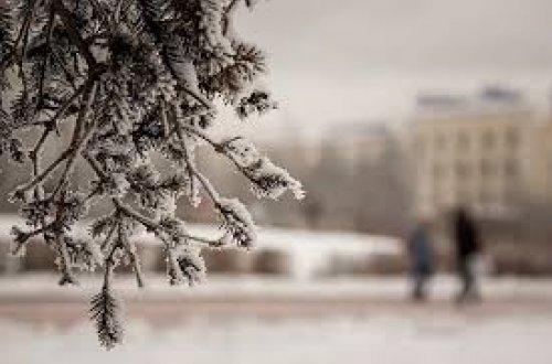 Şaxtalı hava davam edir, gecə saatlarından yağıntılar tədricən kəsilib