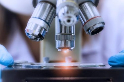 Rosatom alimləri canlı hüceyrələrdən damarlar yetişdiriblər