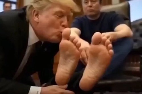 Sosial mediada izlənmə rekordu qırdı: Tramp Maskın ayaqlarını öpdü! 