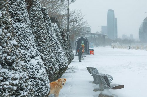 Bakıya bu tarixdə yenə qar yağacaq - XƏBƏRDARLIQ