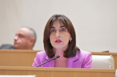 Gürcüstan XİN başçısı Türkiyəyə rəsmi səfər edəcək