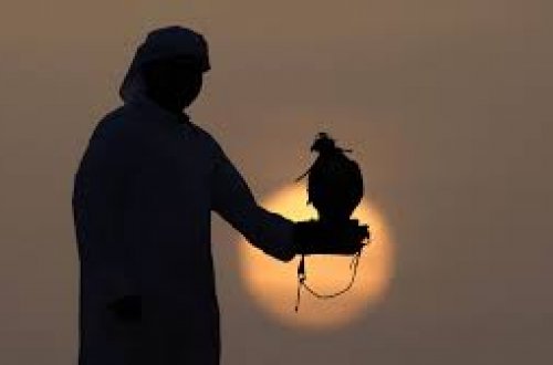 Ölkə ərazisində qanunsuz ov edən ərəblər SAXLANILDILAR