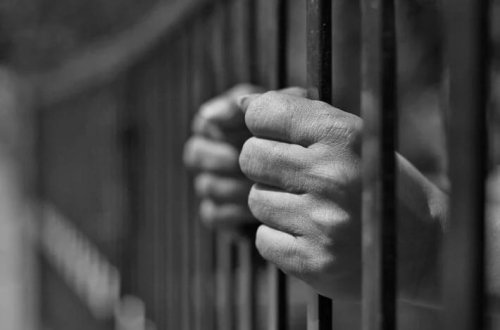 220 uşaq haqsız yerə insan alverçisi kimi həbs edildi