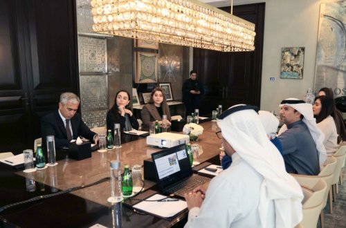 Leyla Əliyeva Bəhreynin neft və ətraf mühit naziri ilə görüşüb