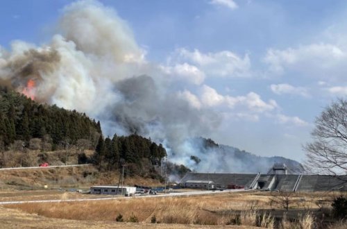 Yaponiyada meşə yanğını: 1 nəfər həlak oldu