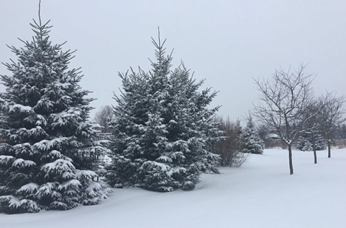 Qaxa 75 sm qar yağdı