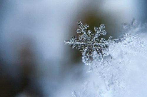 Zaqatalada qarın hündürlüyü bir metri keçib - FAKTİKİ HAVA