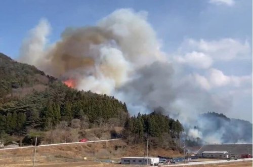 Yaponiyada 5 gündə təxminən 1800 hektar ərazi yanıb