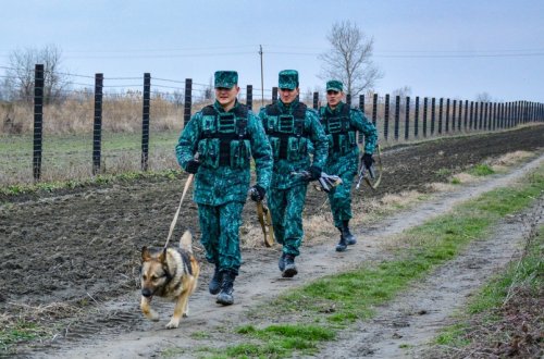 Ötən ay ərzində dövlət sərhədini pоzan 22 əcnəbi saxlanılıb