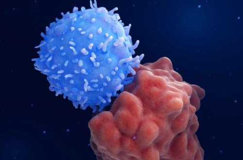 Alimlər xərçəngin qarşısını ala bilən təbii maddə kəşf ediblər