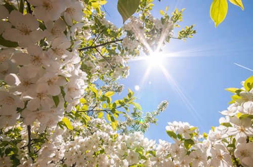 Sabah Bakıda 17 dərəcə isti olacaq