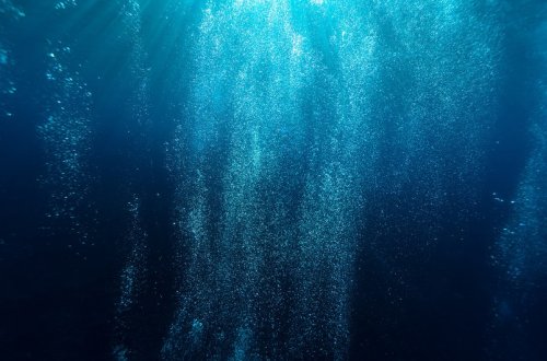 Okeanın dərinliklərində minlərlə yeni mikrob növü aşkarlanıb