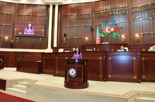 Parlament Ombudsmanın məruzəsini qəbul edib