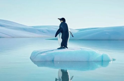 Okeanın buz örtüyü əriyir: Buz səviyyəsində rekord azalma