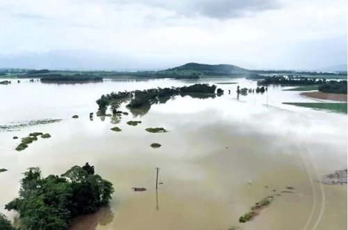 Tropik Alfred siklonu səbəbindən Avstraliyada məktəblər bağlanıb