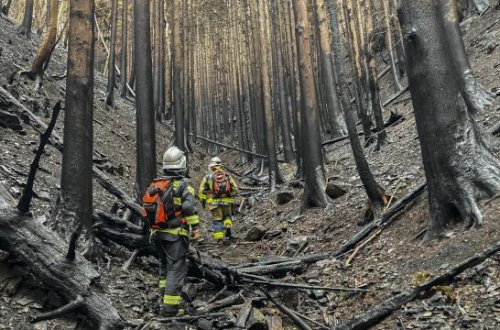 Yaponiyanın şimal-şərqində 12 gündür davam edən meşə yanğını nəzarət altına alınıb