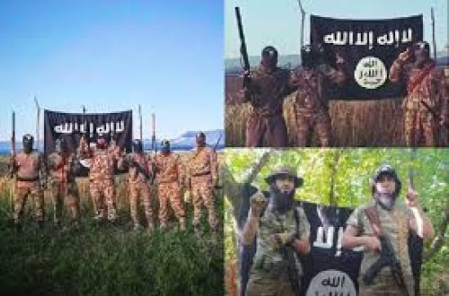 DTX-nin Qusar əməliyyatı - 