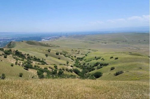 Üç ildir vəhşi təbiətdə itkin düşüblər! Ata və uşaqların axtarışları davam edir