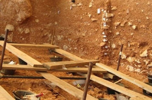 Qərbi Avropada ən qədim insan qalıqları tapıldı