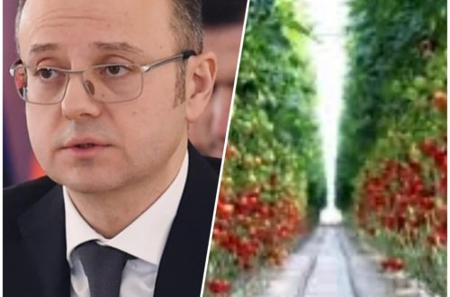 Əmisi oğlu ilə “parnik” salan nazirin pulu batdı - PƏRVİZ ŞAHBAZOVLA QOHUMU ARASINDA QARŞIDURMA