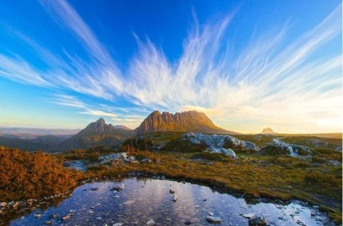 Təbiətə aid sənədli filmlər ağrıları yüngülləşdirə bilər