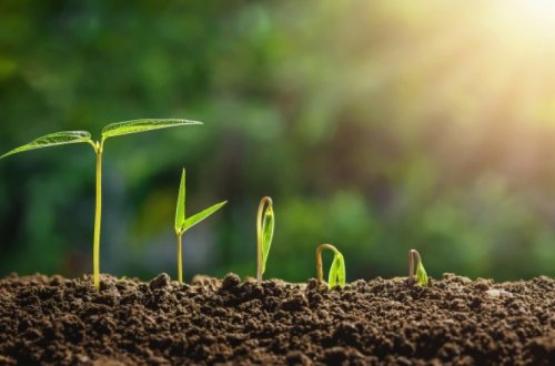 Bu gün İlaxır çərşənbədir