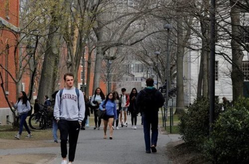 Harvard Universiteti: İllik gəliri 200 min dollardan aşağı olan ailələrdən ödəniş alınmayacaq 