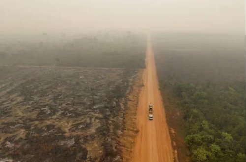 Planetimizdə karbon qazının səviyyəsi artıb