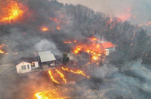 Cənubi Koreyada meşə yanğınları nəticəsində ölənlərin sayı 26 nəfərə çatıb