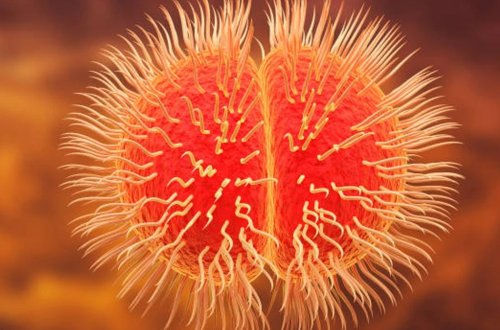 Monqolustanda bu il ikinci meningit hadisəsi qeydə alındı