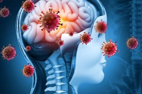 Monqolustanda ikinci meningit hadisəsi: Mütəxəssislər 7 əlamətə qarşı xəbərdarlıq edir